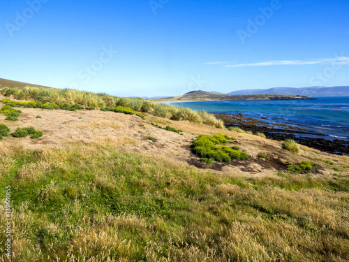 inhospitable coast carcass, Falkland Islands - Malvinas