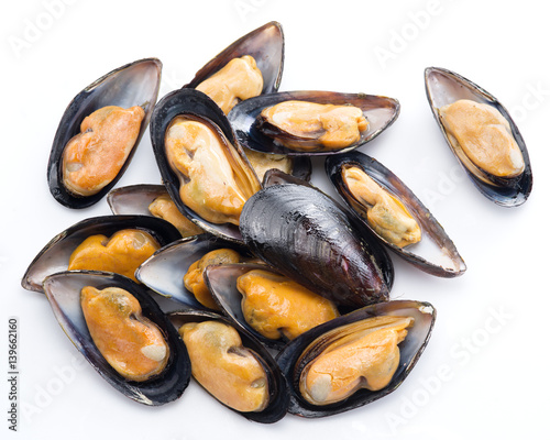 Mussels on a white background.