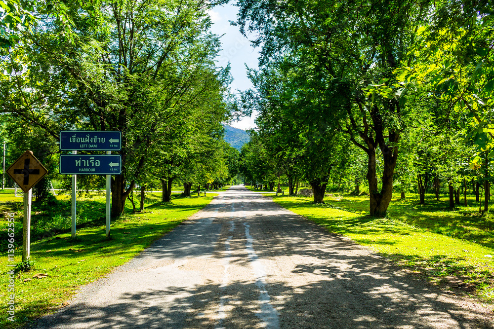 Obraz premium Zielona Droga