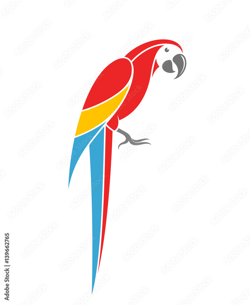 Fototapeta premium Red macaw. Tropical parrot on white background