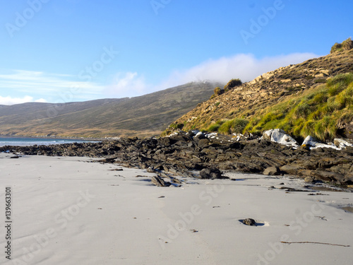 Carcass coast of the island, the Falklands - Malvinas © vladislav333222