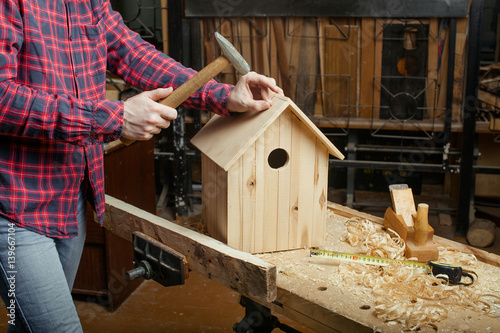 carpenter making wooden nest box