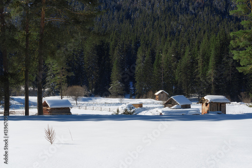 Winter forest scene. Small cottages along a tree line in a sunny winter day. Snowy fairytale in Bulgaria.
