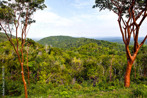 Photography View of Las Terrazas in Pinar del Rio Province, Cuba