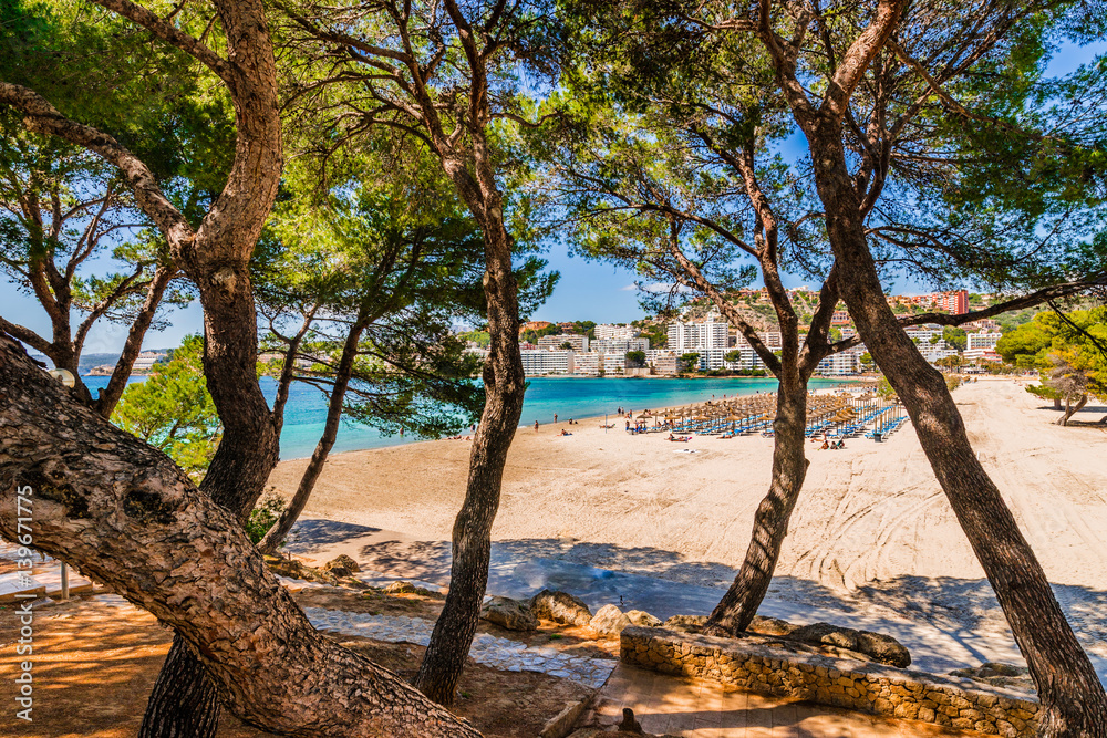 Spanien Mallorca Strand in Santa Ponsa Sommer Urlaub Mittelmeer Insel Balearen Spanien Mallorca Strand in Santa Ponsa Sommer Urlaub Mittelmeer Insel Balearen