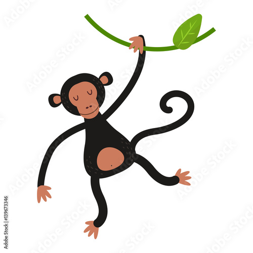 Macaque monkey rare animal vector.