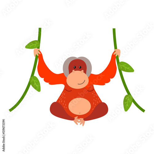 Macaque monkey rare animal vector.