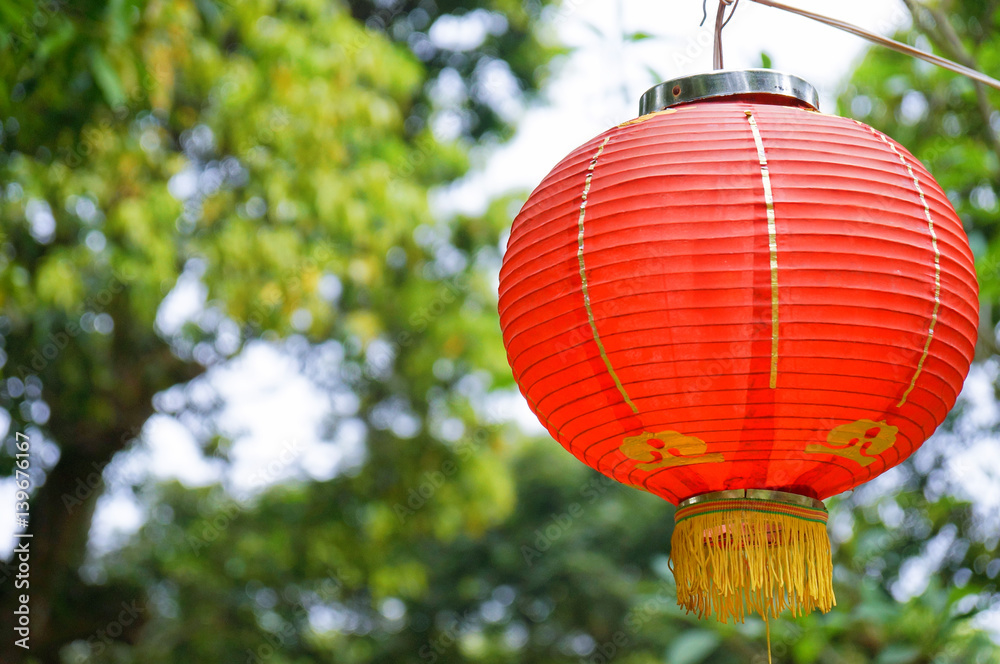 Fototapeta premium Chinese red lamp, traditional decoration, red oriental lantern with green garden