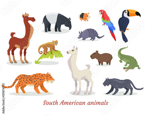 South American Animals Cartoon Vectors Set