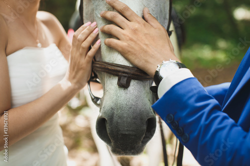 Hands of the bride and groom stroking a horse