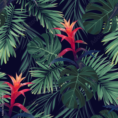 Obraz Ręcznie rysowane kwiatowy wzór z kwiatów guzmania, monstera i liści palmowych. Egzotyczne hawajskie tło wektor.