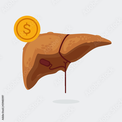 liver cirrhosis vector illustration