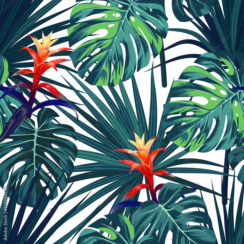 Fototapeta Egzotyczny tropikalny tło z hawajskimi roślinami i kwiatami. Bezszwowy wektoru wzór z zielonymi monstera i sabal palmowymi liśćmi, guzmania kwitnie.
