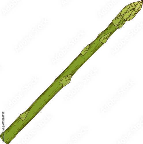 Fresh Asparagus