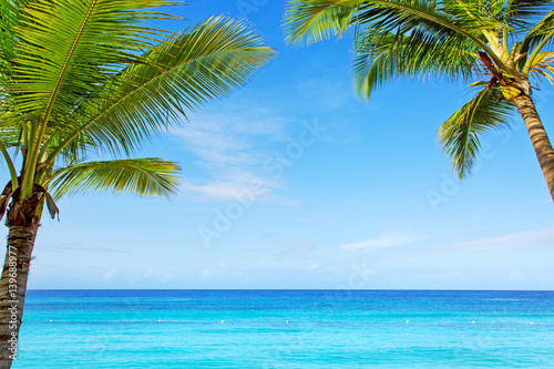 Fototapeta Naklejka Na Ścianę i Meble -  Beautiful palm trees and caribbean sea.