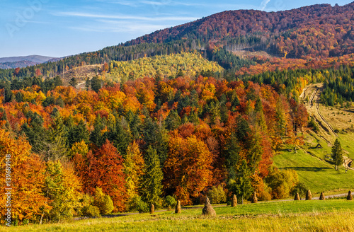 mountain rural area in autumn