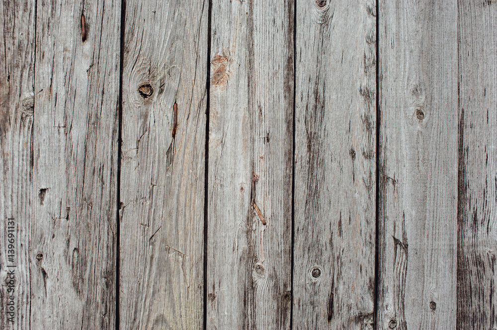Fototapeta premium Texture of an old tree on a fence