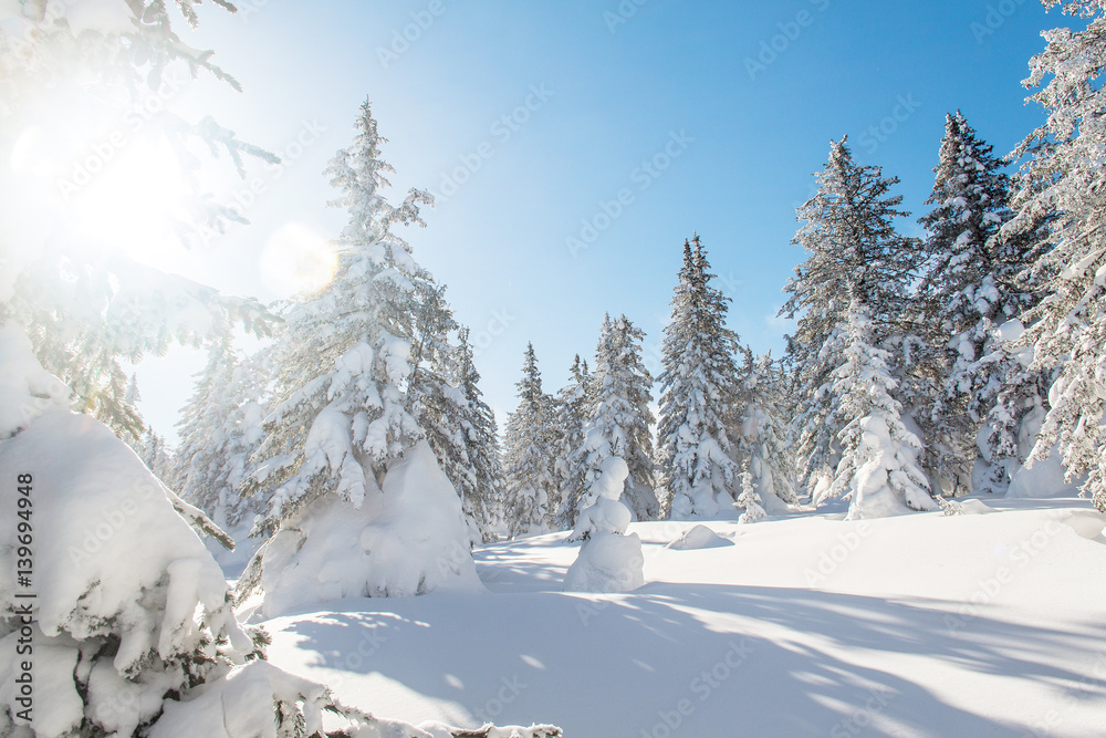 Landscape with winter trees in mountains covered with fresh snow Landscape with winter trees in mountains covered with fresh snow