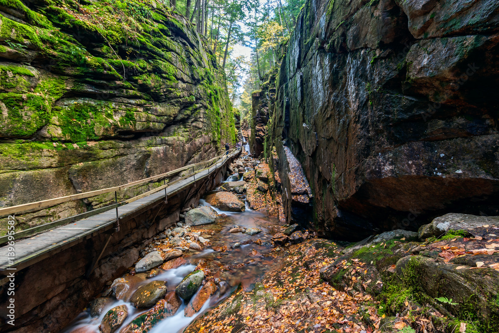 Obraz premium Wooden walkway and steps along the Flume Gorge in Franconia Notch State Park, New Hampshire, USA.