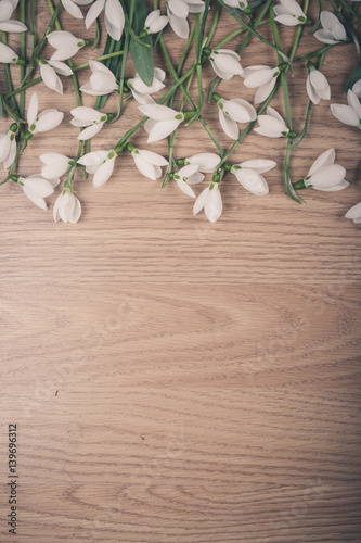 Snowdrop flower on wood floor