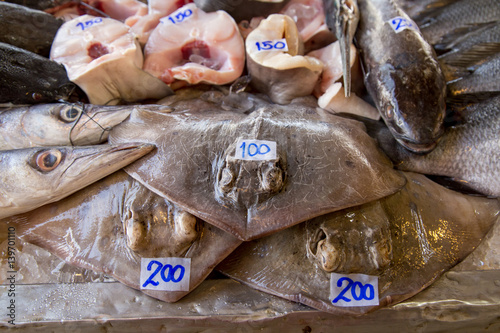 row of seafood in the Asian market.  cramp fish photo