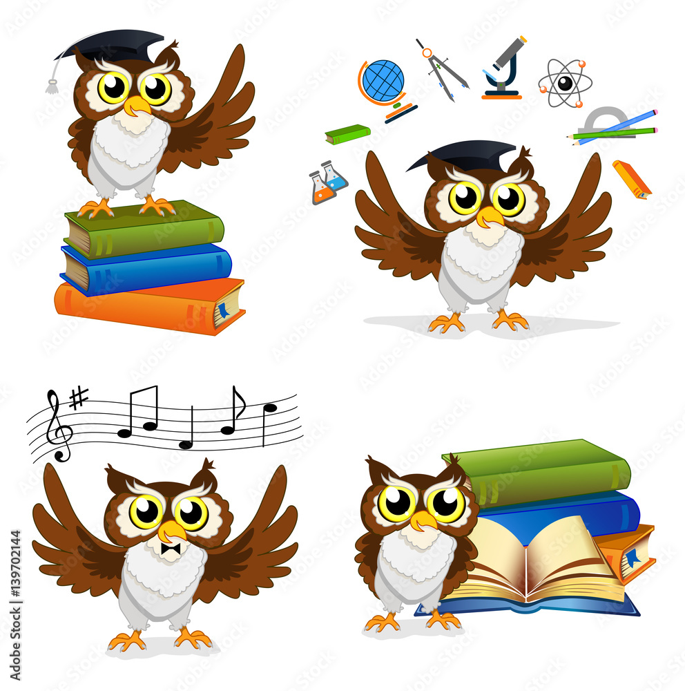 Fototapeta premium Wise Owl Set