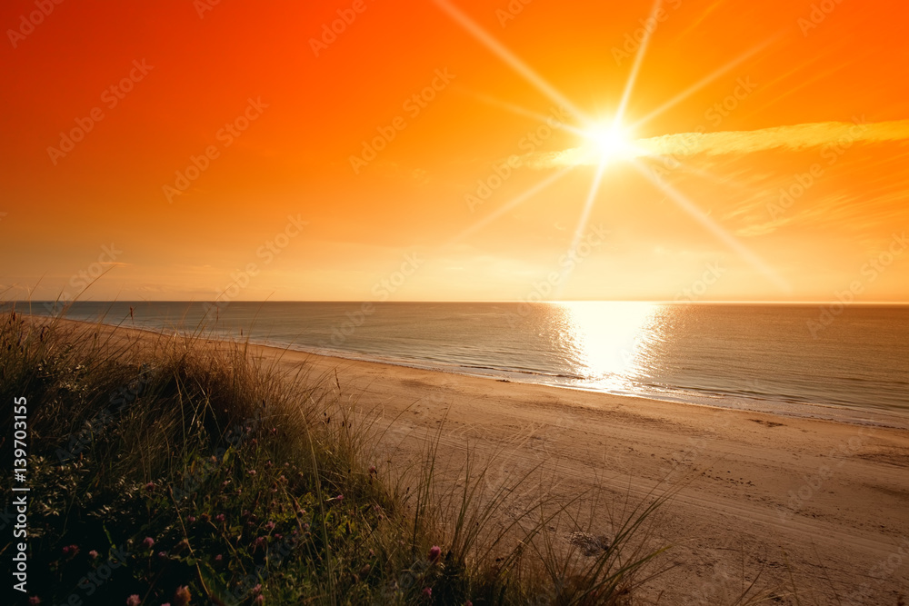 coastline coastline