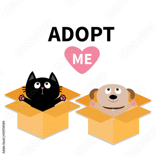 Adopt me. Dont buy. Dog Cat inside opened cardboard package box. Ready for a hug. Puppy pooch kitten cat looking up to pink heart. Pet adoption. Flat design. Help animal concept. White background.