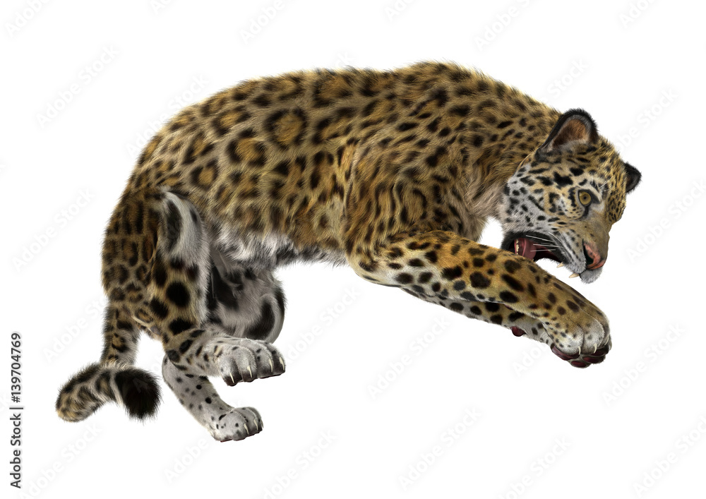 Naklejka premium 3D Rendering Big Cat Jaguar on White