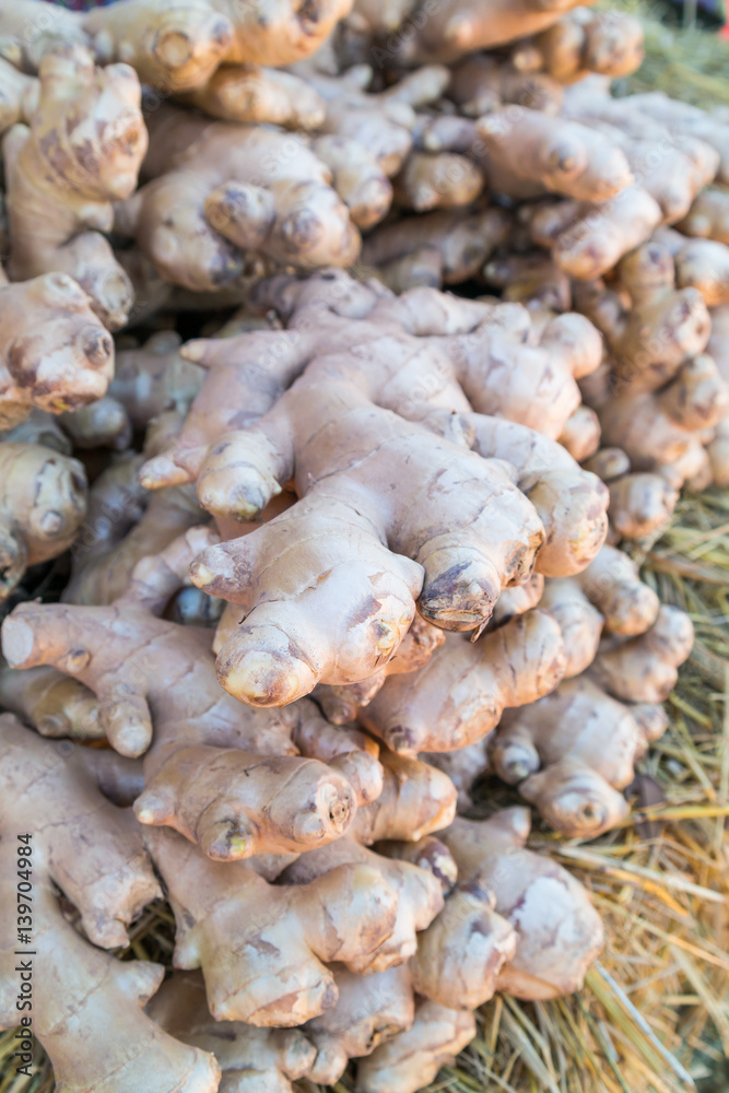 Fresh Ginger Fresh Ginger