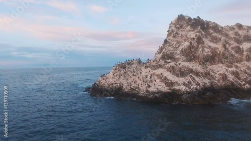 Flying over the cliff into the sea. Birds on a rock in the sea. Island with birds in the ocean photo
