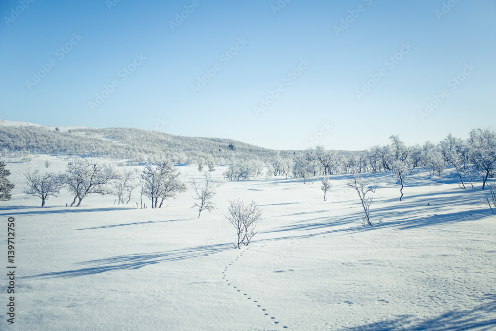 A beautiful white landscape of a snowy Norwegian winter day with footprints