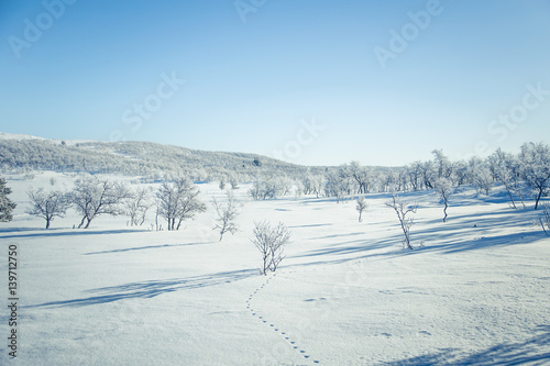 A beautiful white landscape of a snowy Norwegian winter day with footprints © dachux21