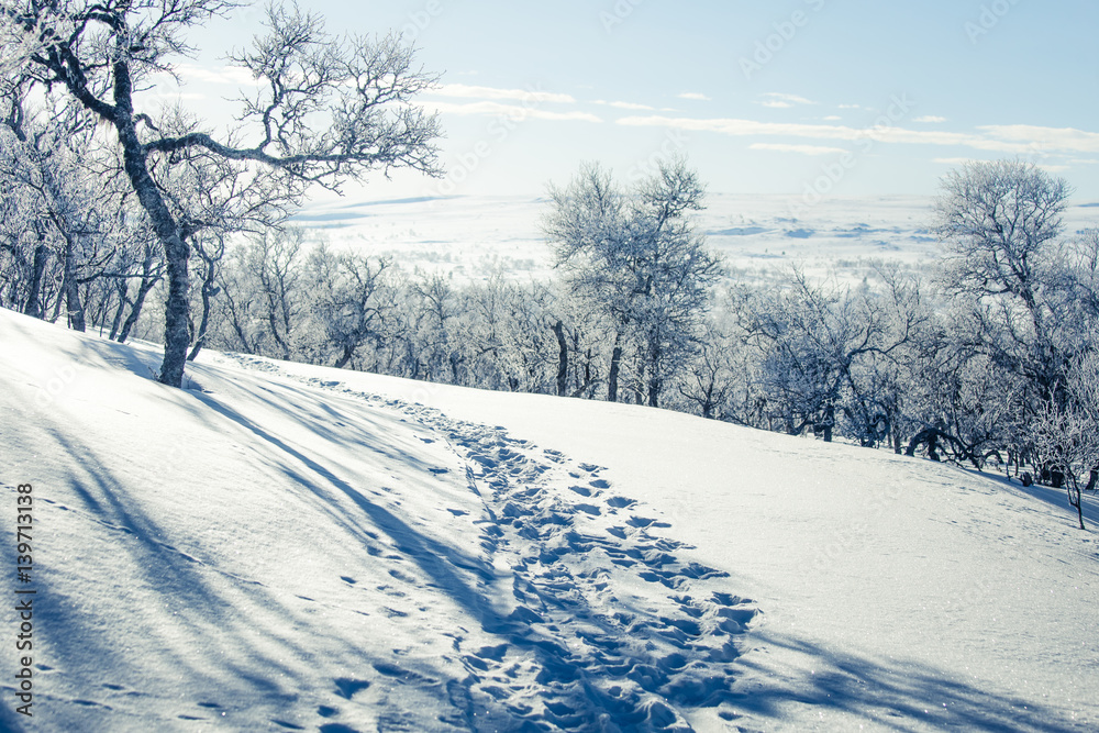A beautiful white landscape of a snowy Norwegian winter day with footprints A beautiful white landscape of a snowy Norwegian winter day with footprints
