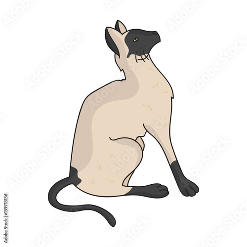 Siamese icon in cartoon style isolated on white background. Cat breeds symbol stock vector illustration.