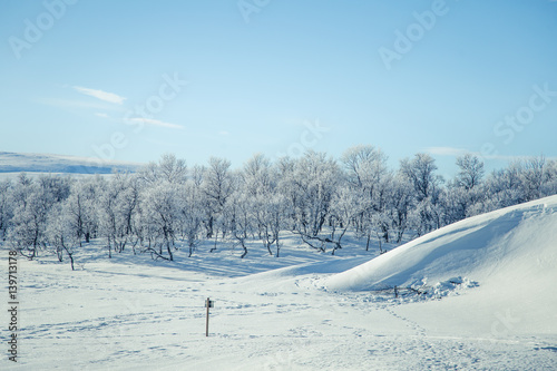 A beautiful white landscape of a snowy Norwegian winter day with footprints