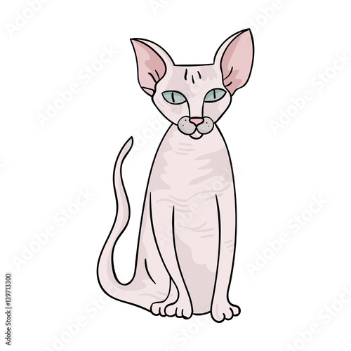 Peterbald icon in cartoon style isolated on white background. Cat breeds symbol stock vector illustration.