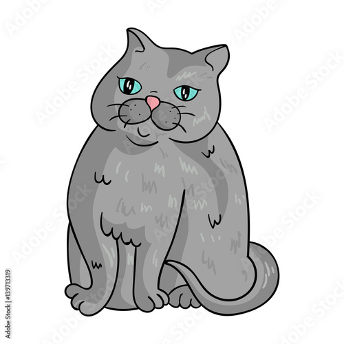 Exotic Shorthair icon in cartoon style isolated on white background. Cat breeds symbol stock vector illustration.