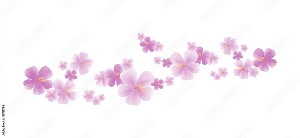 Purple flying flowers isolated on white. Sakura flowers. Cherry blossom. Vector 
