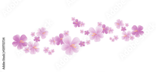 Purple flying flowers isolated on white. Sakura flowers. Cherry blossom. Vector   