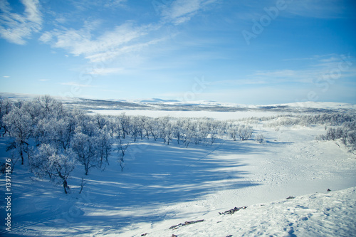 A beautiful white landscape of a snowy Norwegian winter day with skiing tracks © dachux21