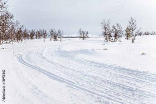 A beautiful white landscape of a snowy Norwegian winter day with tracks for snowmobile or dog sled © dachux21