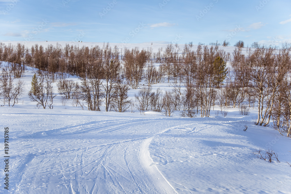 Obraz premium A beautiful white landscape of a snowy Norwegian winter day with tracks for snowmobile or dog sled