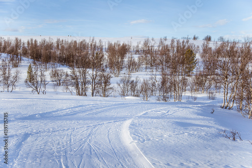 A beautiful white landscape of a snowy Norwegian winter day with tracks for snowmobile or dog sled