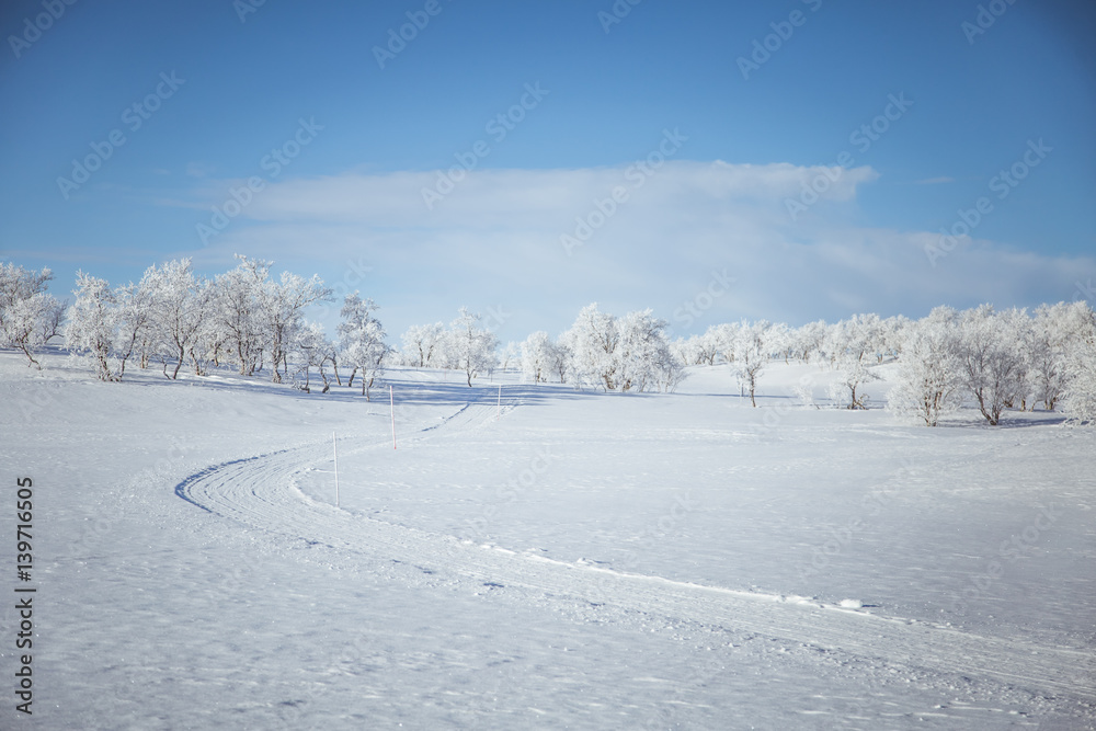 A beautiful white landscape of a snowy Norwegian winter day with tracks for snowmobile or dog sled A beautiful white landscape of a snowy Norwegian winter day with tracks for snowmobile or dog sled