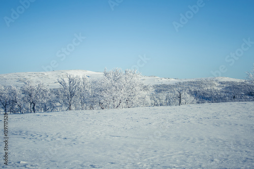 A beautiful white landscape of a snowy Norwegian winter day