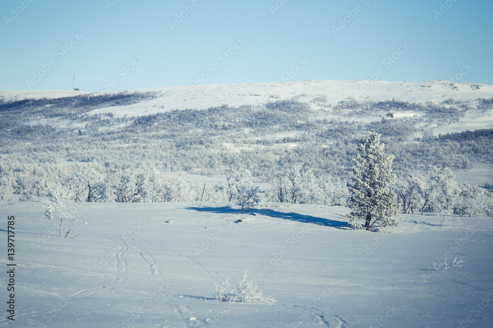 A beautiful white landscape of a snowy Norwegian winter day