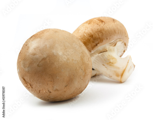 fresh champignons brown version isolated