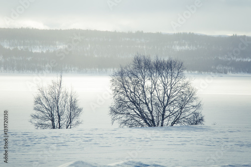 A beautiful landscape of a snowy Norwegian winter day