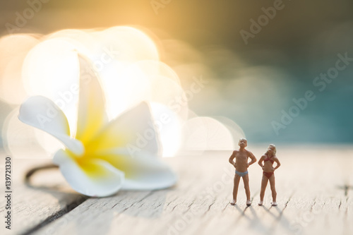 Frangipani plumeria Spa Flower on wooden floor near the pool